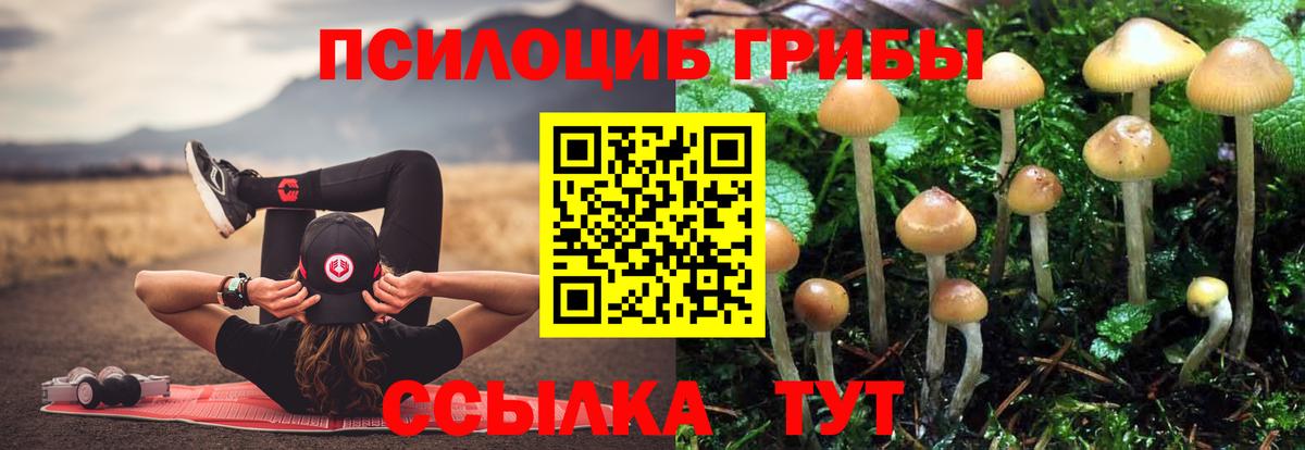 Галлюциногенные грибы Magic Shrooms  Галлюциногенные грибы Magic Shrooms  Сосновоборск  цена   Вход с VPN 